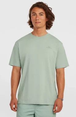 HommesT-shirt O'Neill Small Logo| Vert
