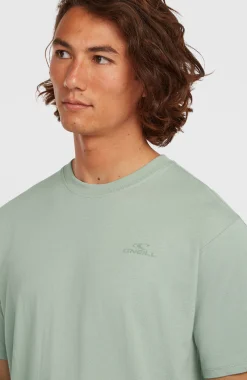 HommesT-shirt O'Neill Small Logo| Vert