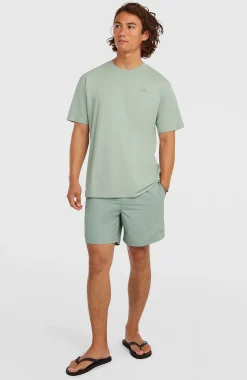 HommesT-shirt O'Neill Small Logo| Vert