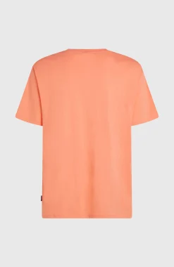 HommesT-shirt O'Neill Small Logo| Orange