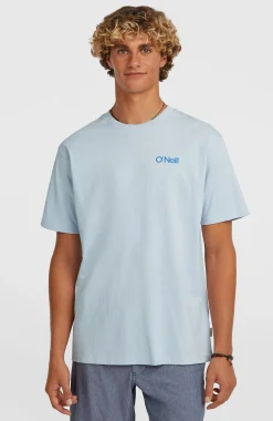 HommesT-shirt Polygiene Cotton Graphic| Bleu