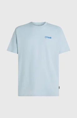 HommesT-shirt Polygiene Cotton Graphic| Bleu