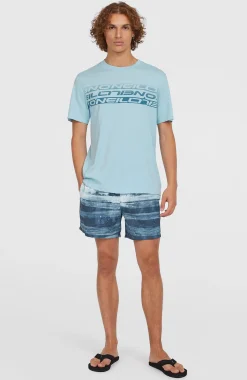 HommesT-shirt Stripe| Bleu