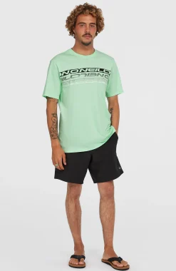 HommesT-shirt Stripe| Vert